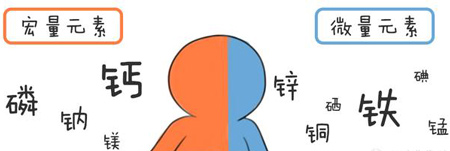全自動午夜三级视频幫助身體維持健康
