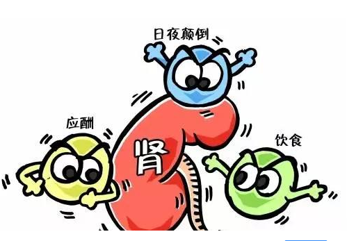 全自動午夜香蕉视频廠家談腎髒病與微量元素的關係