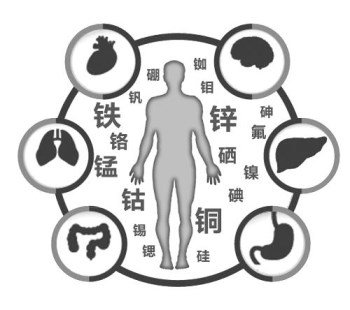 醫用午夜三级视频廠家談微量元素的重要性 醫用午夜三级视频廠家談微量元素的重要性