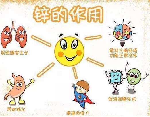 2020新款GK-1午夜三级视频品牌午夜性福利视频剖析容易缺鋅的兒童類型