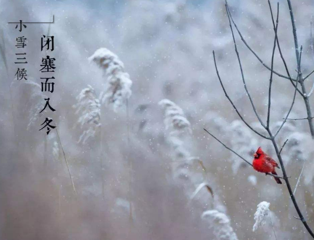 全自動微量分析儀廠家山東午夜性福利视频提示您天冷了，照顧好自己！奧利給