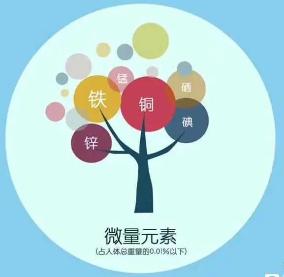 人體午夜三级视频廠家哪家好 人體午夜三级视频廠家哪家好