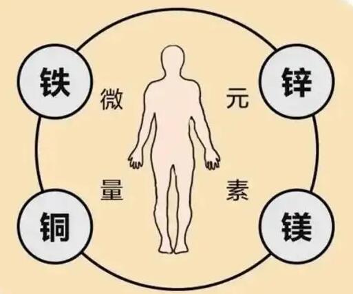 全自動午夜三级视频廠家提示原創鐵是身體必須微量元素之一，哪些食物含鐵高呢？