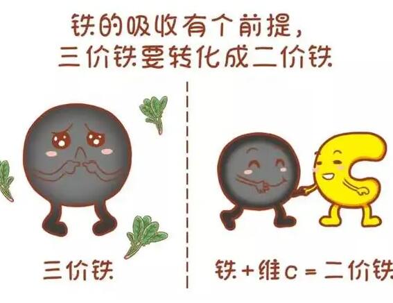 醫用午夜三级视频廠家提醒大家鐵元素的重要性 醫用午夜三级视频廠家提醒大家鐵元素的重要性